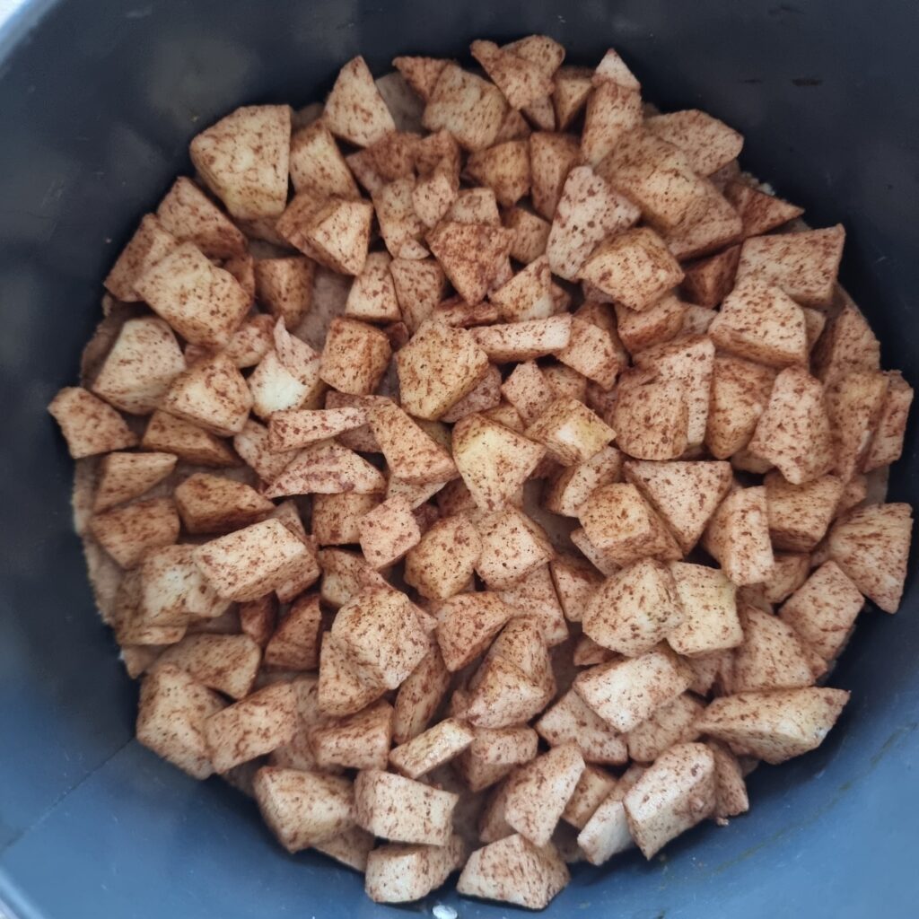 Gezond appel havermout taartje