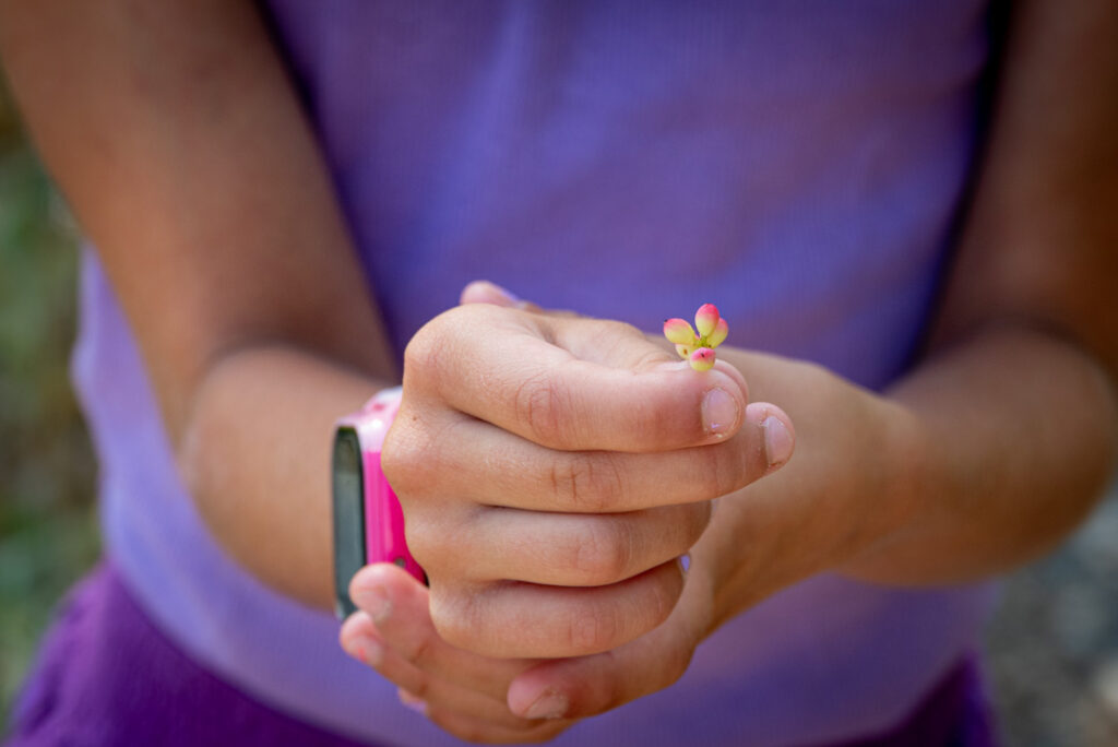 Lanas Wandeling Ardeche Frankrijk Baksels by Mandy