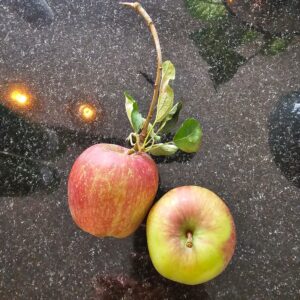 Appel speculaas yoghurt cake Baksels by Mandy